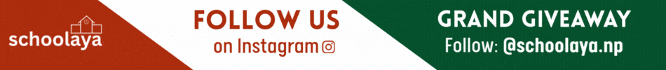 Schoolaya Ad